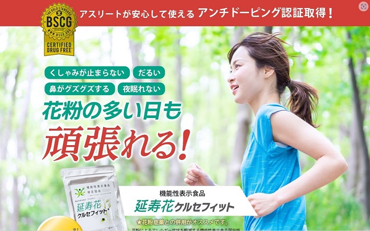 �����ԃP���Z�t�B�b�g�ɂ���