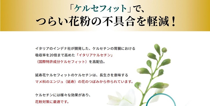 �����ԃP���Z�t�B�b�g�ɂ���